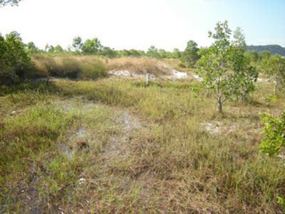 Sur l'île de Phu Quoc : zone sablonneuse et trous d'eau.