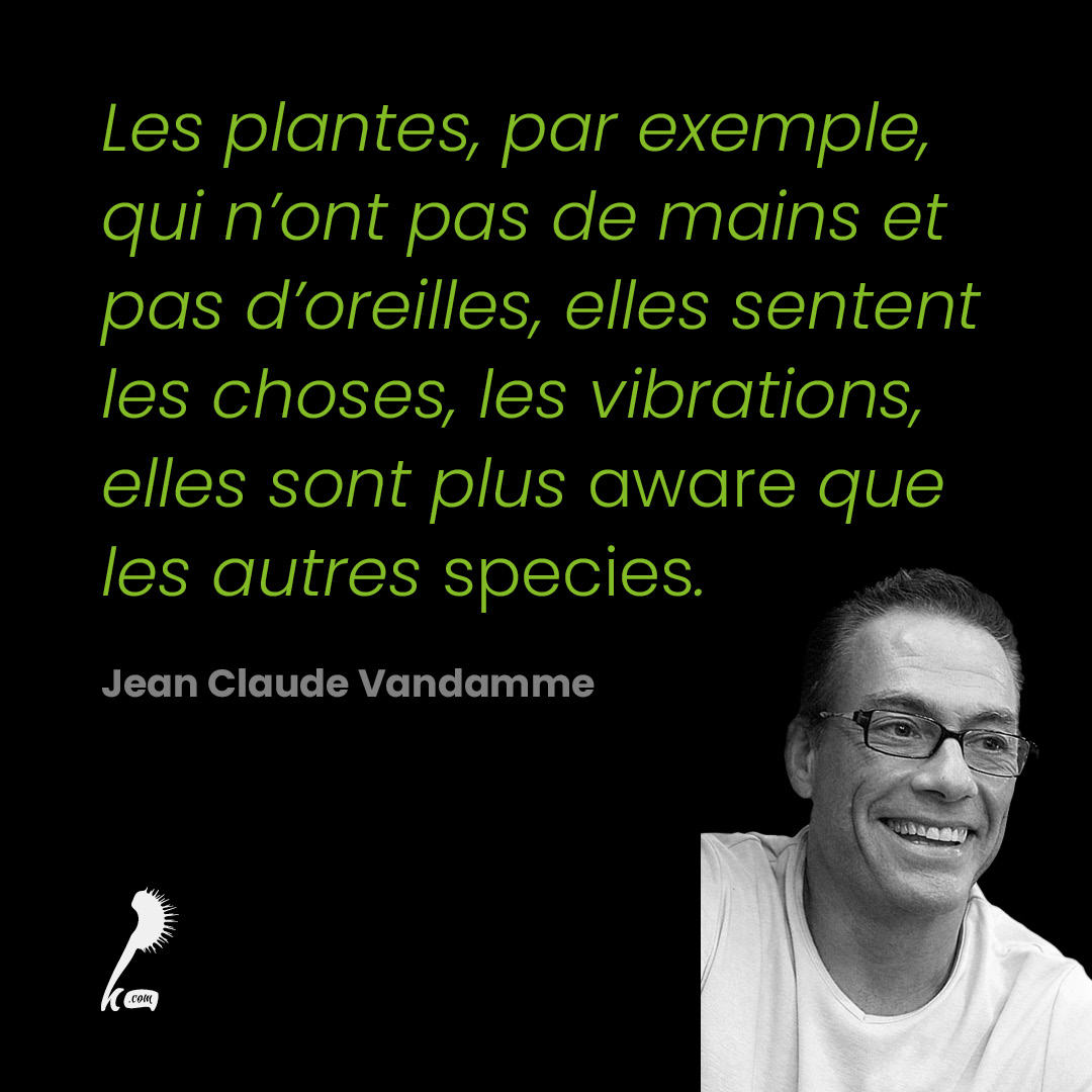 Les plantes, par exemple, qui n'ont pas de mains et pas d'oreilles, elles sentent les choses, les vibrations, elles sont plus aware que les autres species.