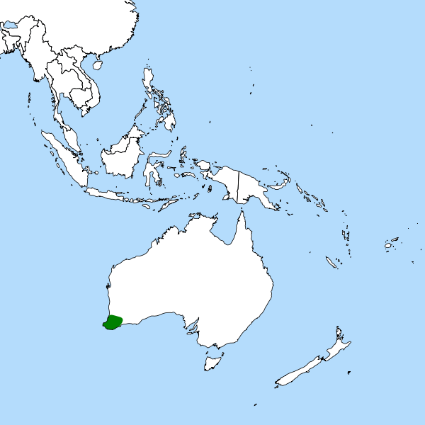 Localisation du Cephalotus follicularis