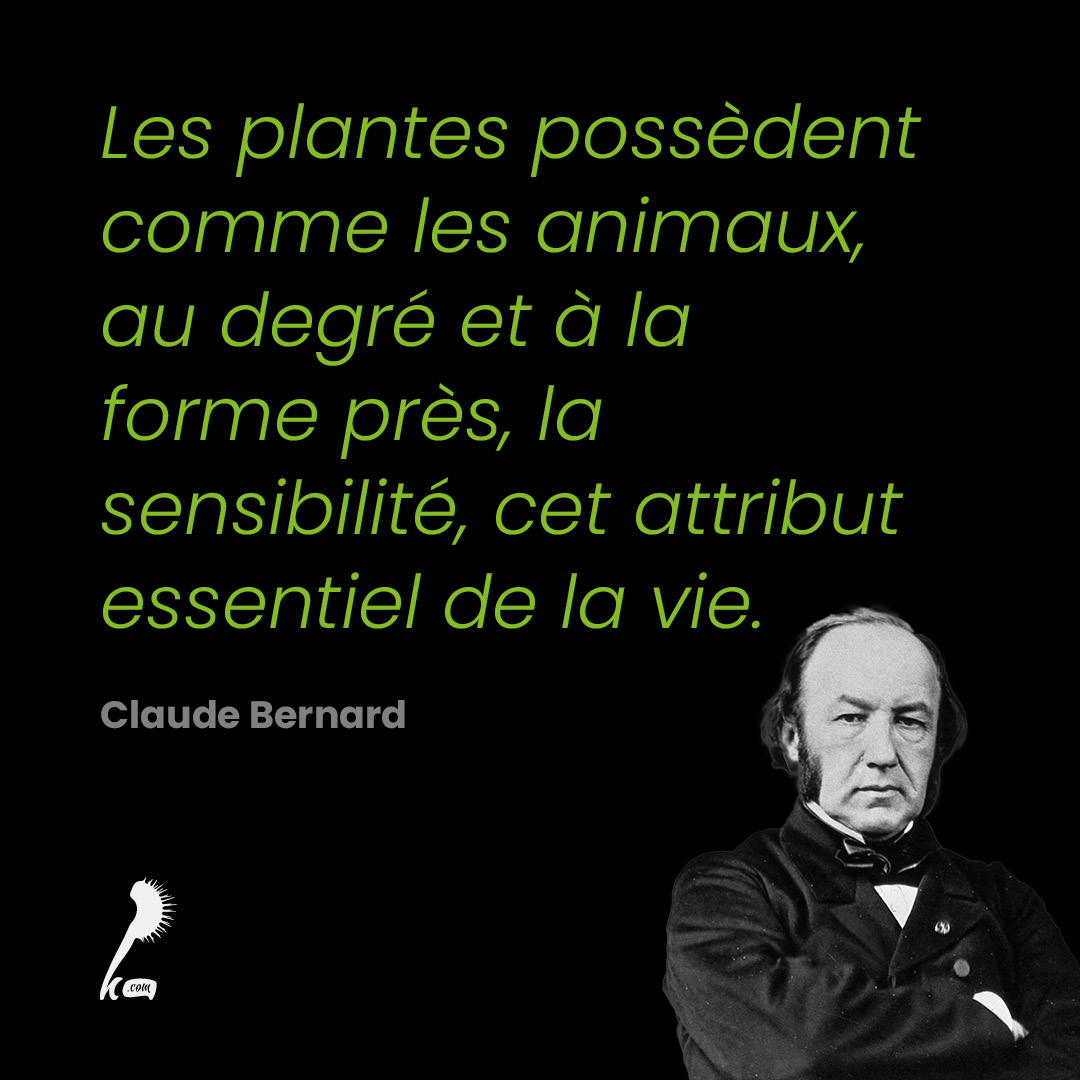 Les plantes possèdent comme les animaux, au degré et à la forme près, la sensibilité, cet attribut essentiel de la vie.