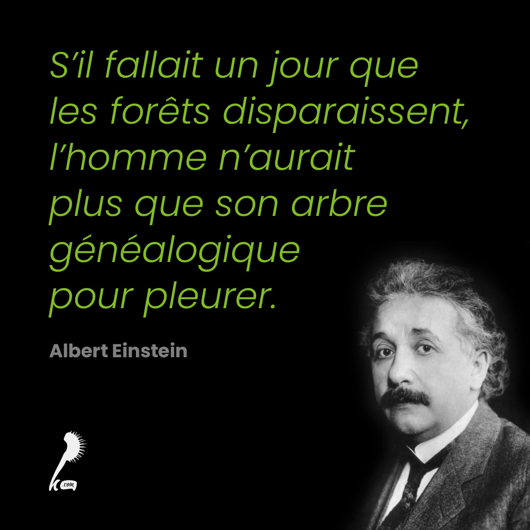 S'il fallait un jour que les forêts disparaissent, l'homme n'aurait plus que son arbre généalogique pour pleurer.