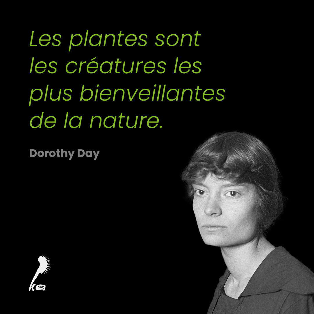 Les plantes sont les créatures les plus bienveillantes de la nature.