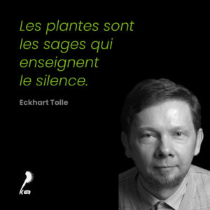 Citation de Eckhart Tolle sur les plantes : citation