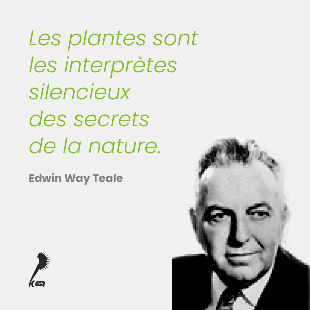 Les plantes sont les interprètes silencieux des secrets de la nature