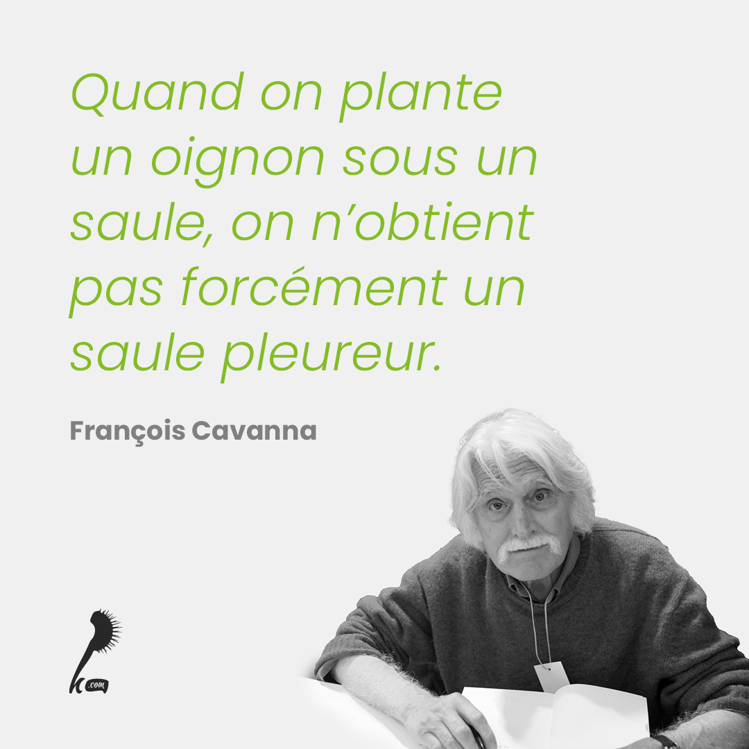 Quand on plante un oignon sous un saule, on n'obtient pas forcément un saule pleureur.