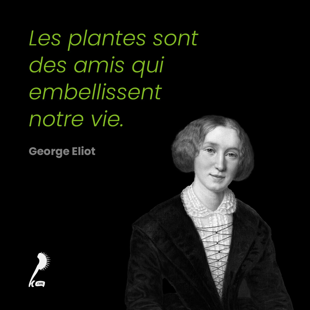 Les plantes sont des amis qui embellissent notre vie