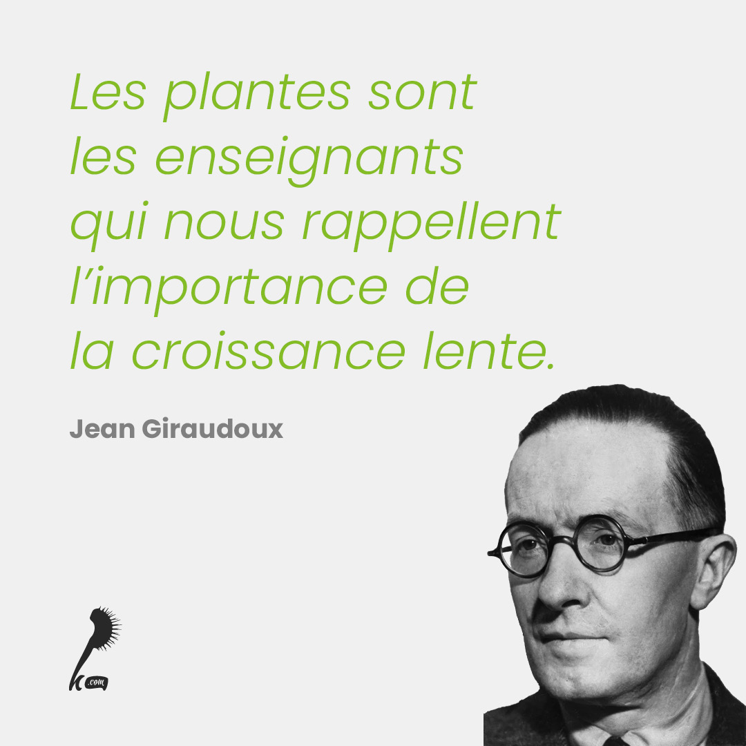 Les plantes sont les enseignants qui nous rappellent l'importance de la croissance lente.