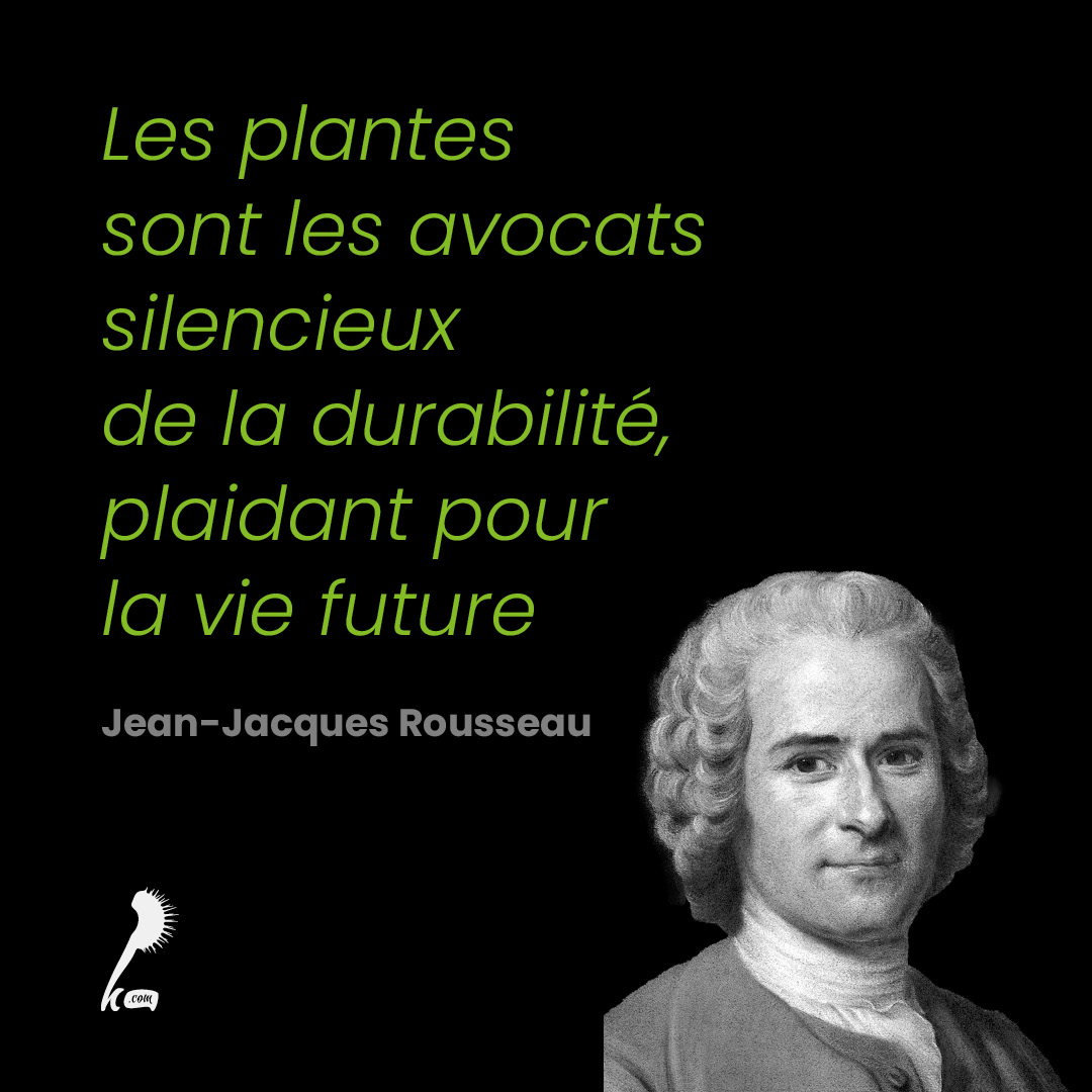 Les plantes sont les avocats silencieux de la durabilité, plaidant pour la vie future.
