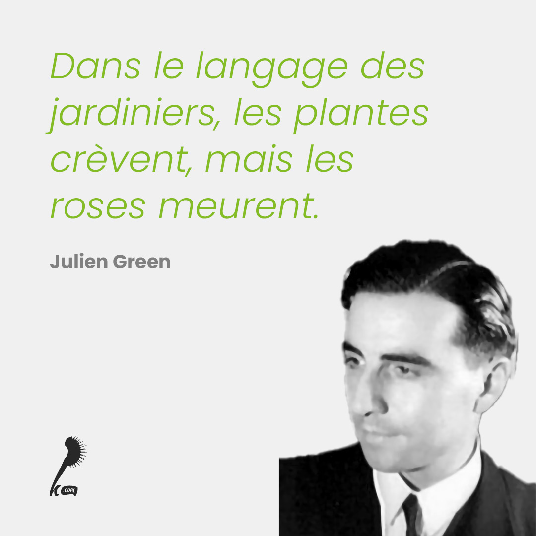 Dans le langage des jardiniers, les plantes crèvent, mais les roses meurent.