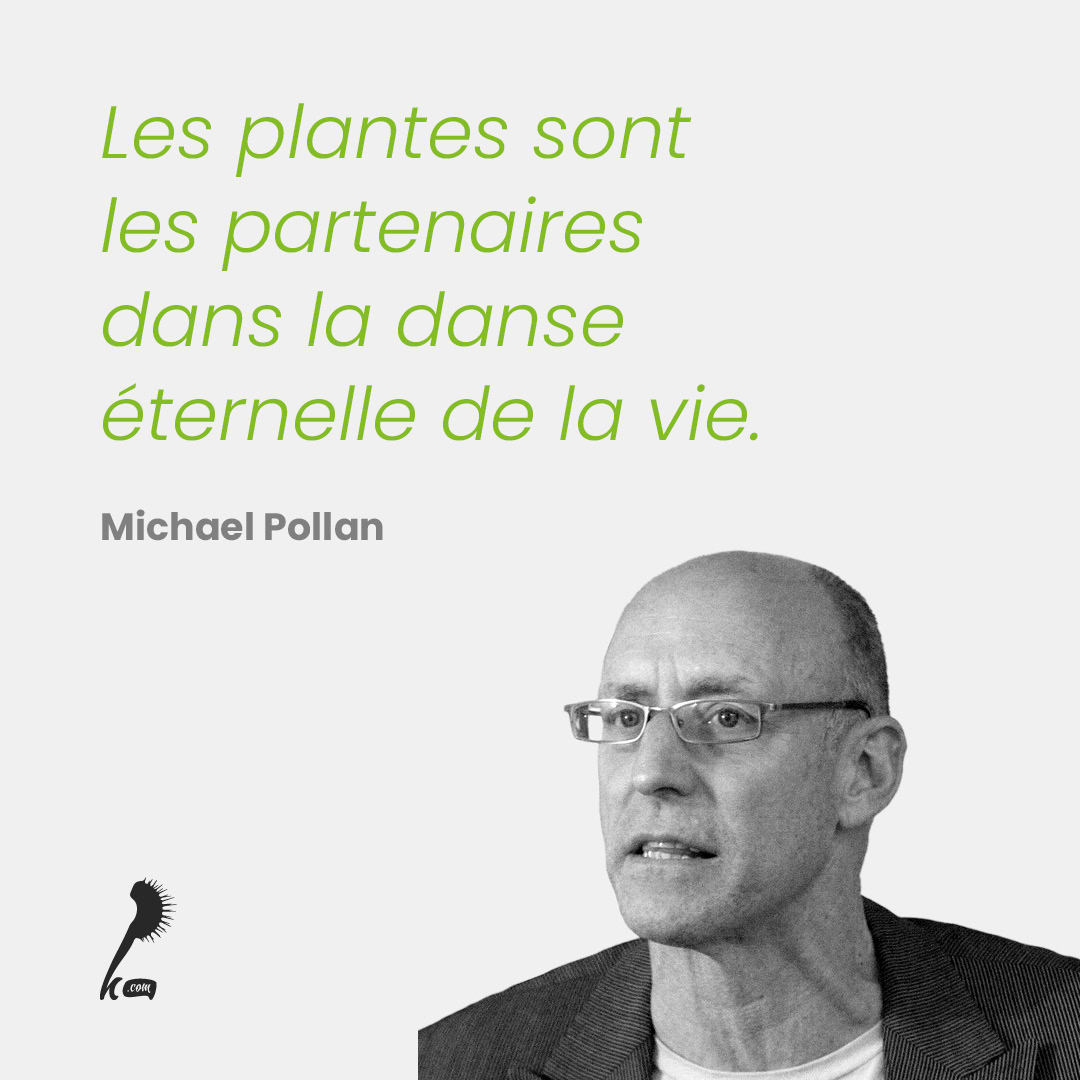 Les plantes sont les partenaires dans la danse éternelle de la vie