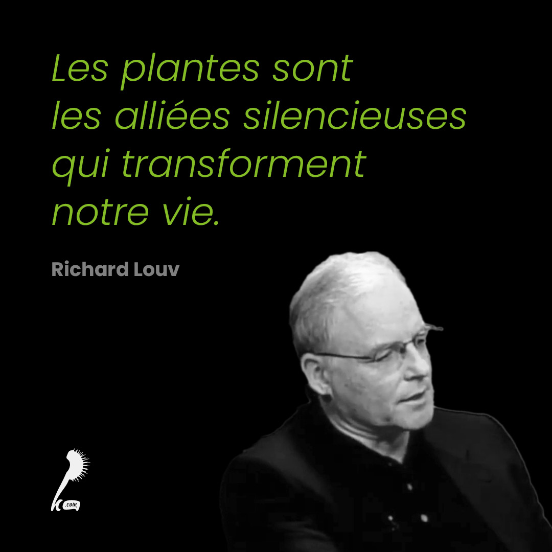 Les plantes sont les alliées silencieuses qui transforment notre vie.