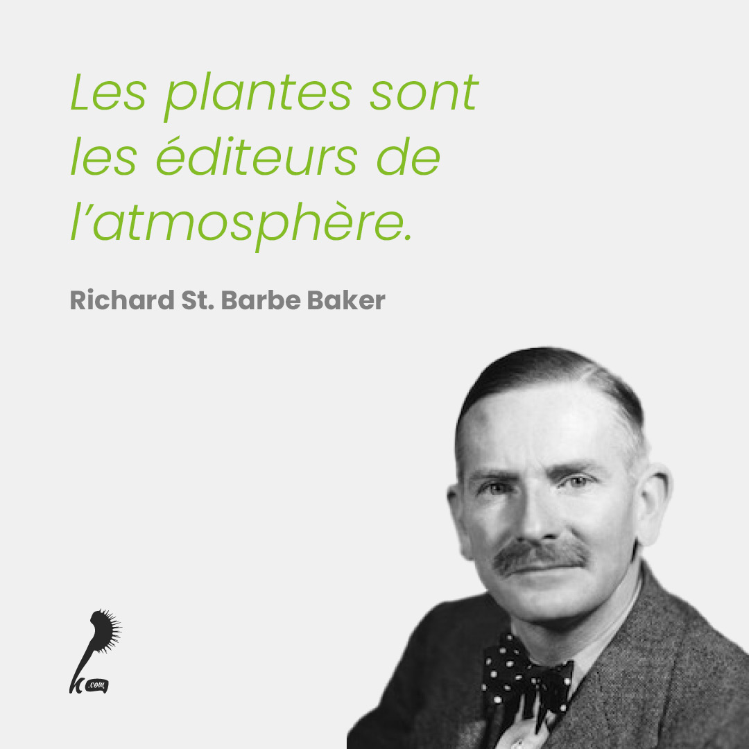 Les plantes sont les éditeurs de l'atmosphère
