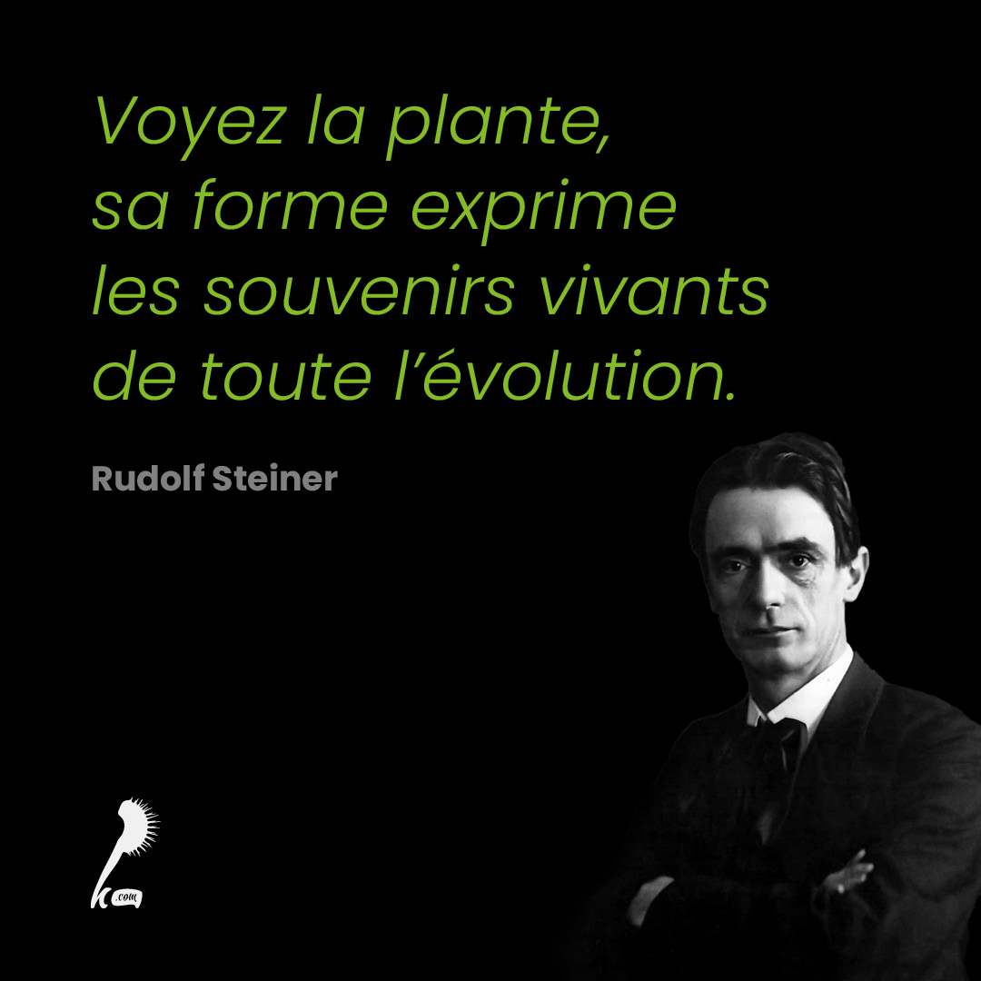 Voyez la plante, sa forme exprime les souvenirs vivants de toute l'évolution.”