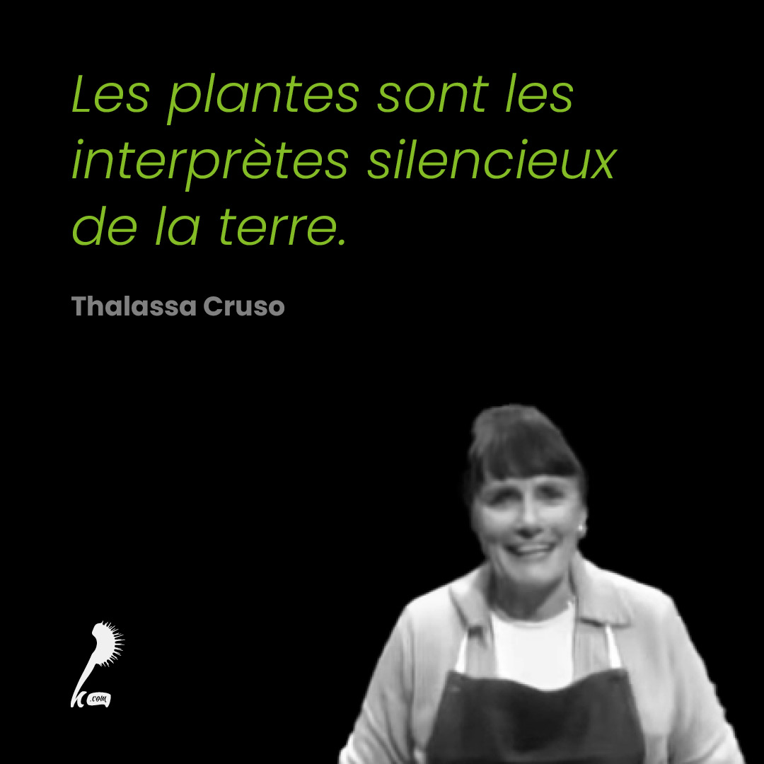Les plantes sont les interprètes silencieux de la terre