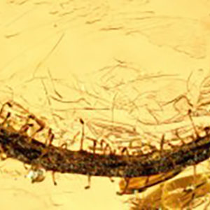 Une feuille carnivore retrouvée dans de l’ambre ? : image à la une
