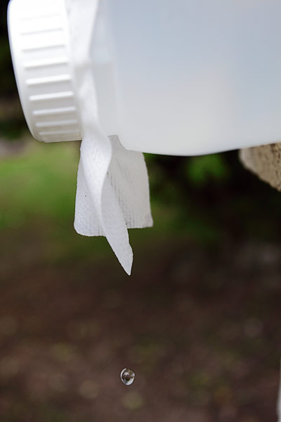Goutte à goutte pour plantes en été