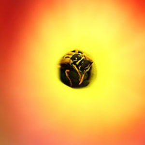 Un métal pas très digeste : image à la une