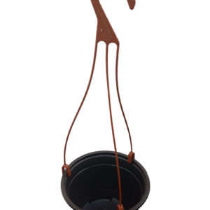 Pot