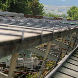 La protection de l&rsquo;environnement chez Karnivores : image à la une