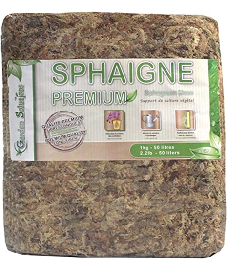 Sphaigne déshydratée haute qualité en 1kg en vente sur karnivores.com