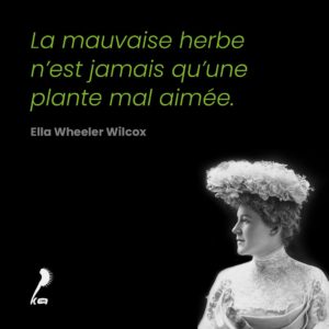 La mauvaise herbe n&rsquo;est jamais qu&rsquo;une plante mal aimée : citation