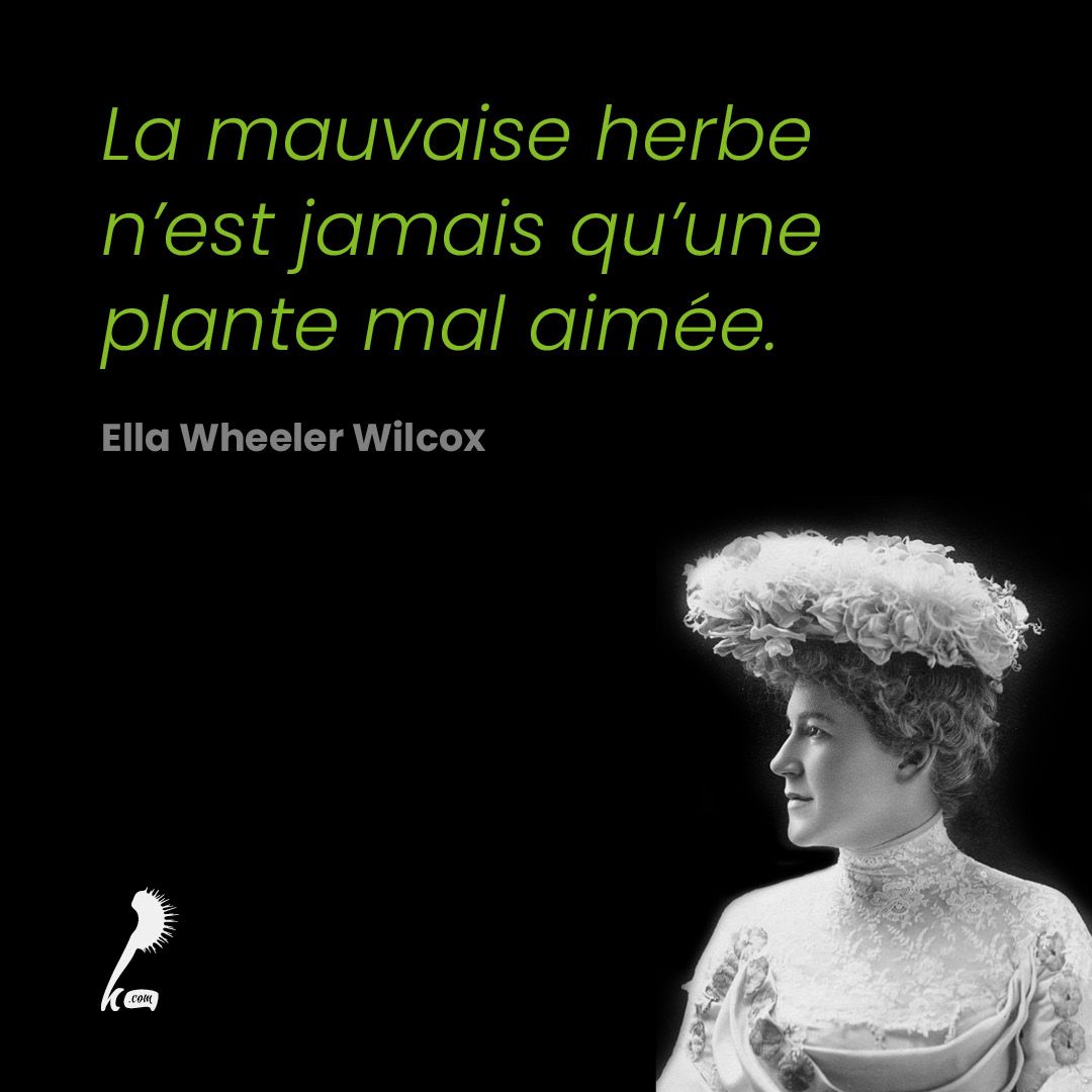 La mauvaise herbe n&rsquo;est jamais qu&rsquo;une plante mal aimée